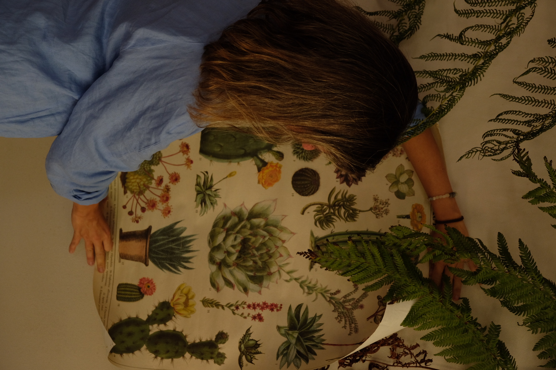 taken by asgard bishop